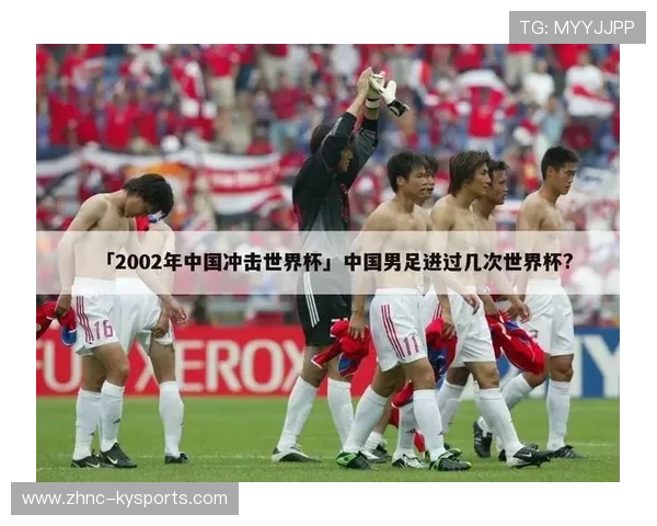 2002年世界杯5场1胜4负，净胜分–81，2002年世界杯比赛