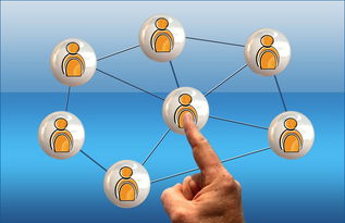 开云体育在线下载-英超球员社交媒体互动提升粉丝忠诚度研究，英超球队球迷